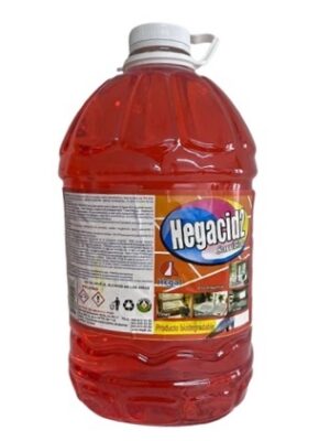 HEGACID-2
